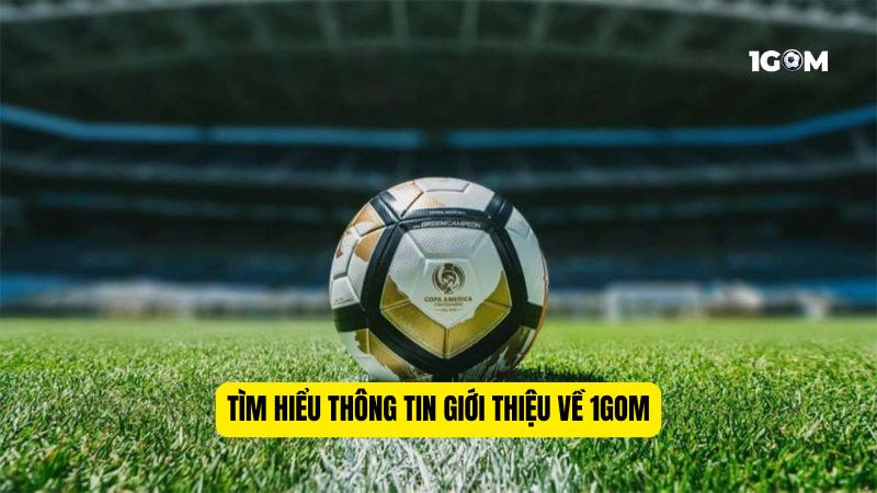 Giới thiệu 1GOM